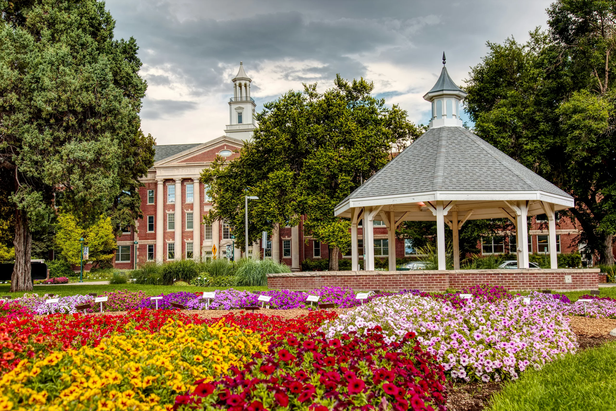 Managed IT services Fort Collins