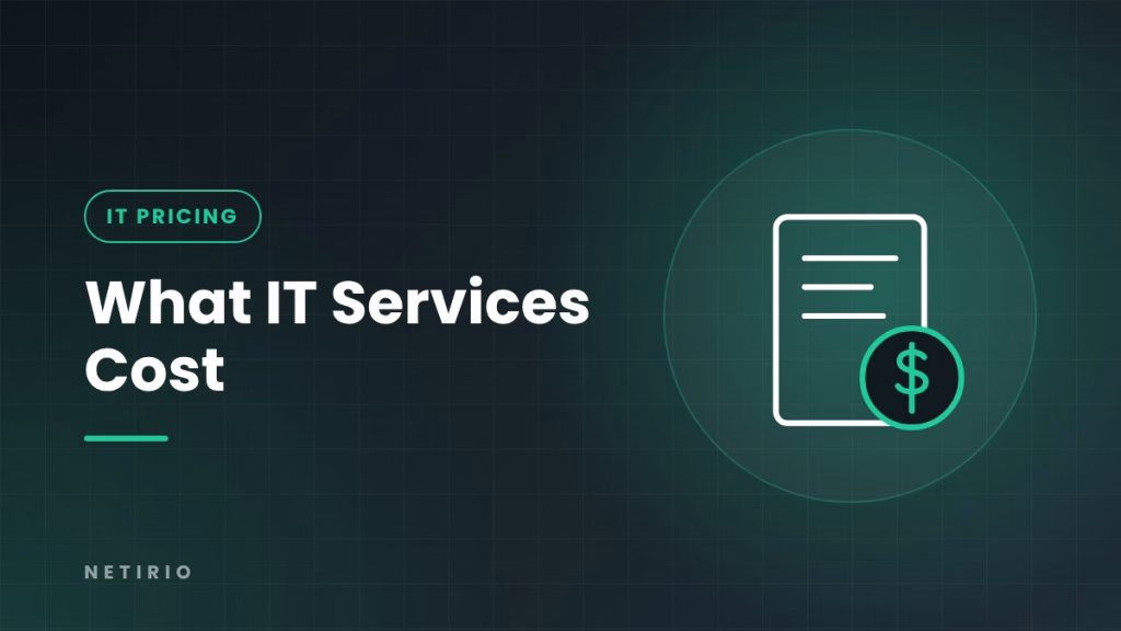 What IT services cost